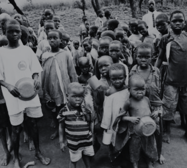 Untitled design (43)