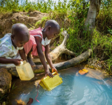 Untitled design (44)