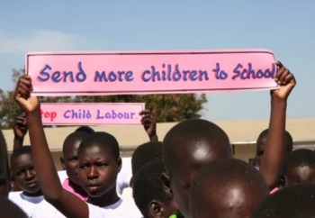 Untitled design (49)